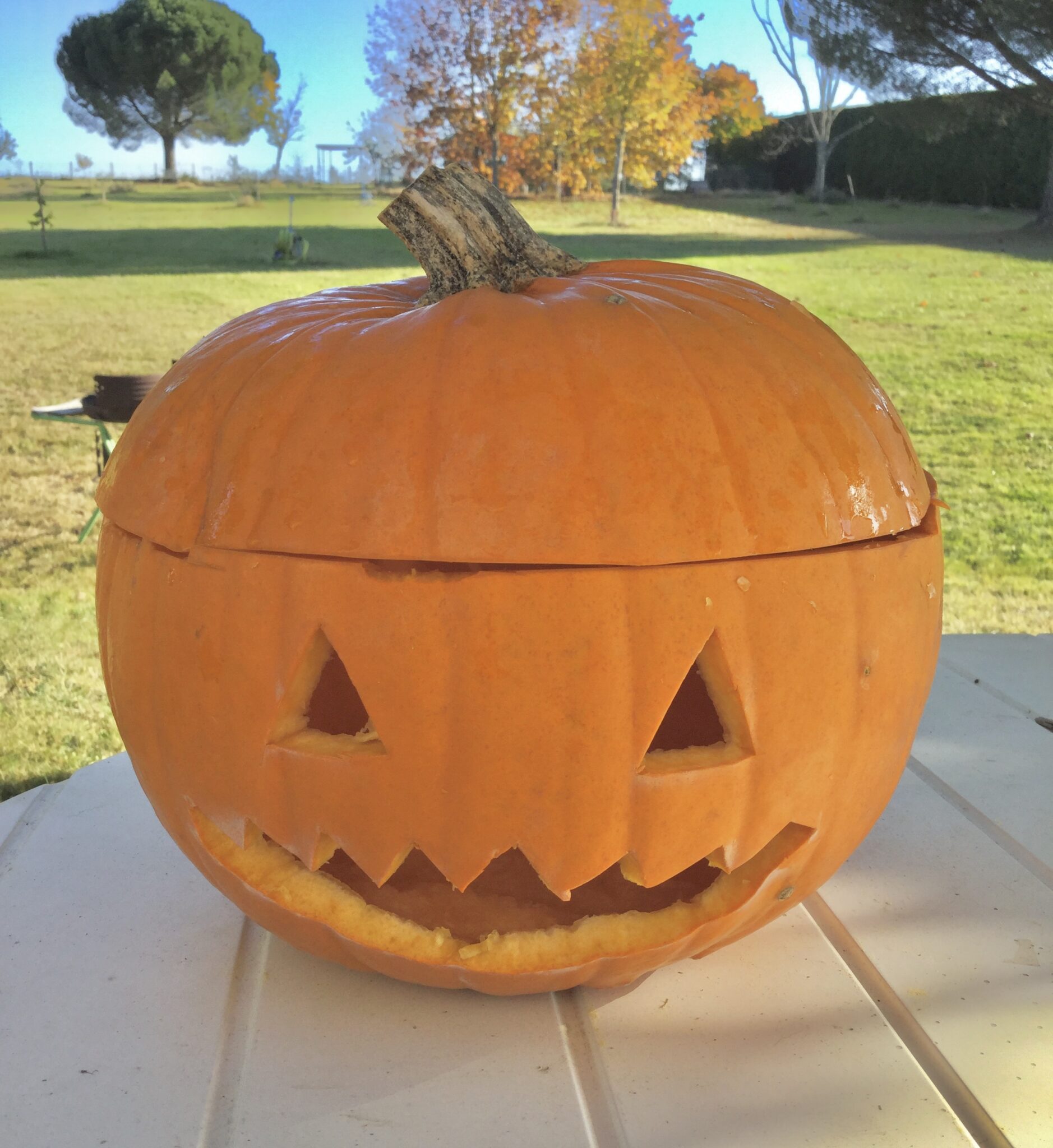 5 idées de décoration DIY et zéro déchet pour Halloween